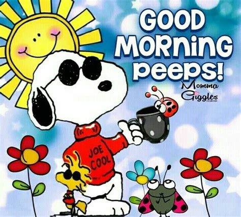 Pin By Vickie Erickson On Peanuts Good Morning Snoopy Snoopy Funny