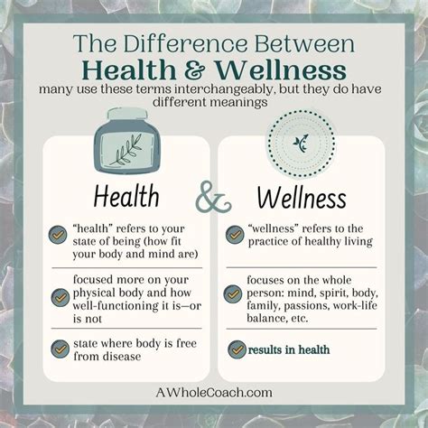 The Differences Between Health And Wellness