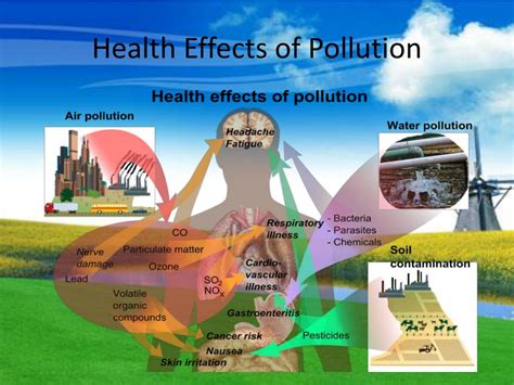 Ppt Environmental Problems And Solutions Powerpoint Presentation