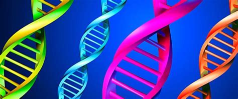 Determine the genotypes (letters) of the parents. Punnett Square | Genetics Quiz - Quizizz
