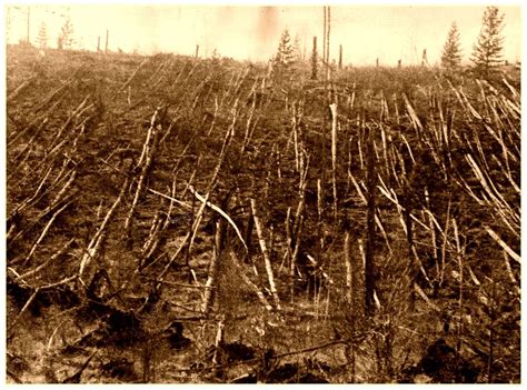 Árboles Caídos En Tunguska 1908 Mysteries Of The World Mystery Of