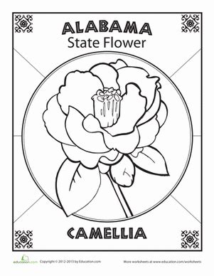 • print out flower coloring pages for official floral symbols of alabama camellia, alaska forget me not, arizona saguaro cactus, to georgia cherokee rose. Alabama State Flower | Coloring Page | Education.com