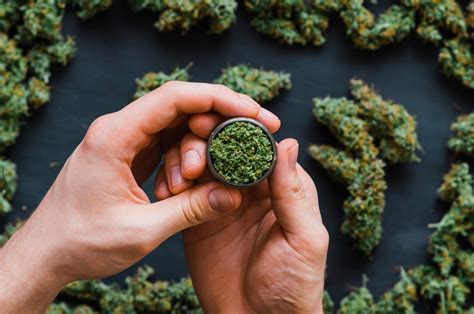 Which Medical Cannabis Strain Is Right For You? | Marijuana Doctor