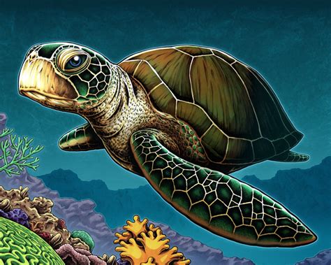 Ocean Animal Art Print Sea Turtle Nicholas Ivins