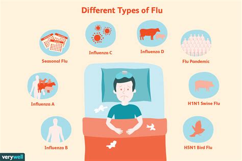 Trivalent vaccines flu vaccines will protect you against three different flu viruses, and quadrivalent. Can flu go away on its own - Health News