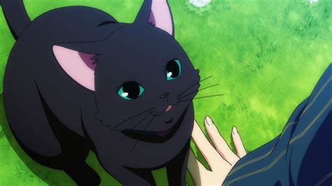 Happy International Cat Day Anime Cats We Adore Sentai