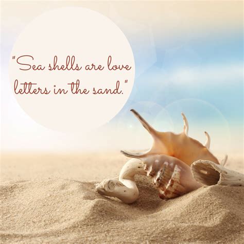 Sea Shell Quote Seaside Quotes Sea Shells Seashells Quote