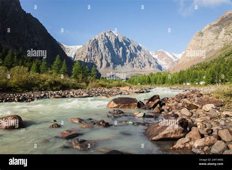 Altai Mountain And River Forest Stock Photo Alamy