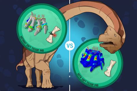 The Soft Secret That Enabled Sauropod Dinosaurs To Support Their