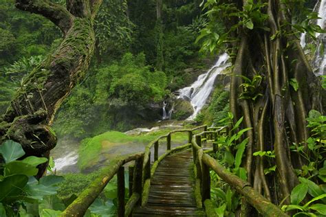 Waterfall In Thailand Forest