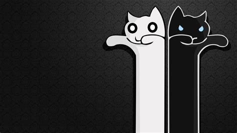 black  white cats full hd desktop wallpapers p