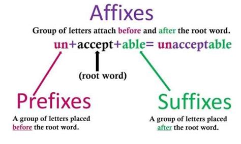Difference Between Prefix And Suffix Differenceguru