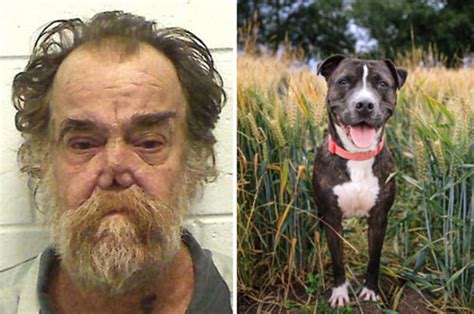 Pensioner Accused Of Having Sex With Pitbull In Georgia Us Daily Star