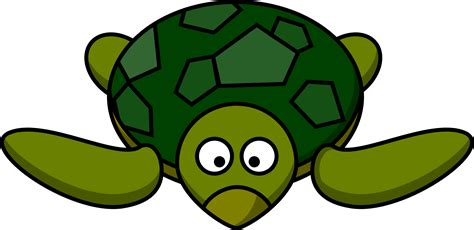 Coloriage tortue facile à imprimer