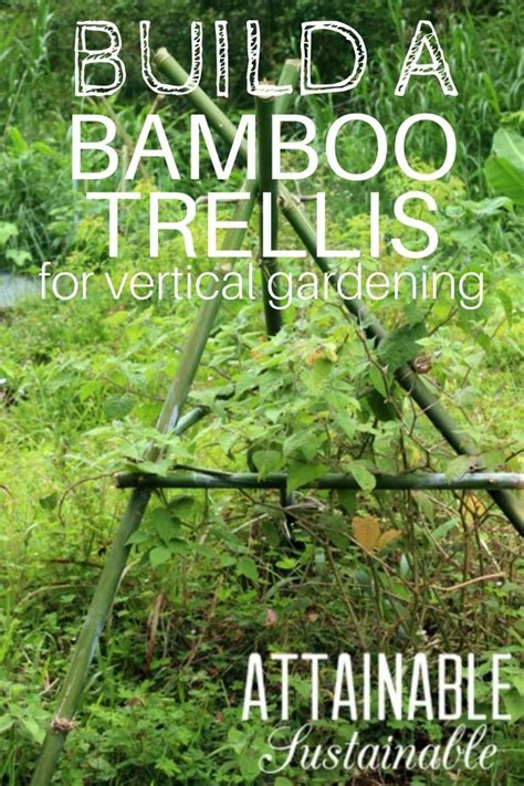 Learn How To Make A Bamboo Trellis For Your Garden Where Bamboo Is