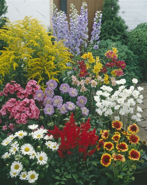 Perennials Herbaceous Collections
