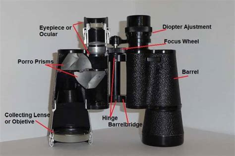 What Binoculars Do Professionals Use