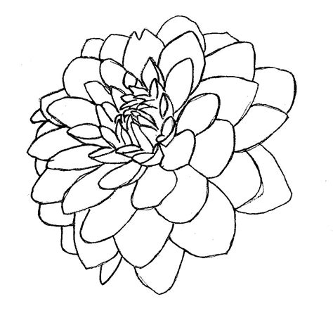 To draw a dahlia flower , you must first take a circle. Purple Dahlia Line Art WIP by RoboUser1469 on deviantART ...