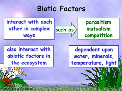 The ecosystems that we have been exploring are the fresh waterways. Ecosystems, biotic and abiotic factors