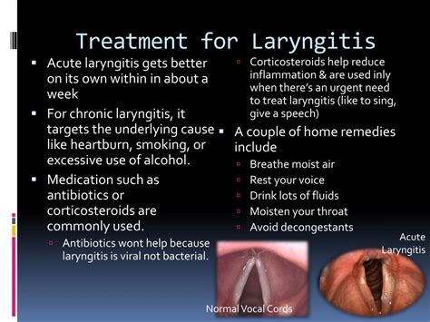 Ppt Laryngitis And Epiglottitis Powerpoint Presentation Free Download
