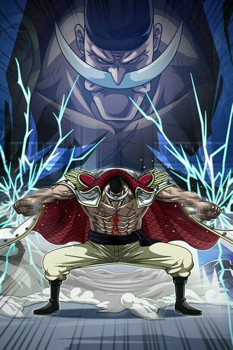 The Son Of Whitebeard ( BNHA x Male Reader ) - Hero/Villan Tests in
