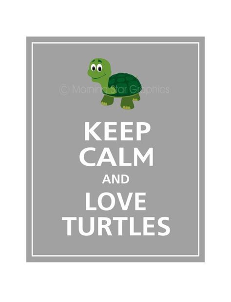 Keep Calm And Love Turtles Cute Turtles Baby Turtles Sea Turtles