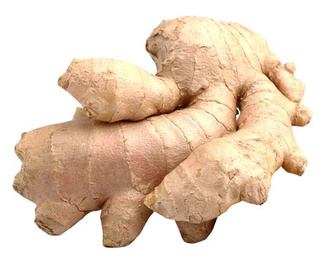 Download Ginger Png Image For Free