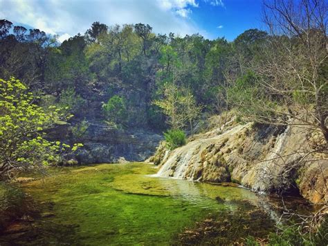 The ranch is 587 acres and covered in wildlife. A Camper's Guide to Colorado Bend State Park