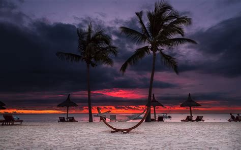 Nature Landscape Palm Trees Beach Sunset Hammocks 1920x1200