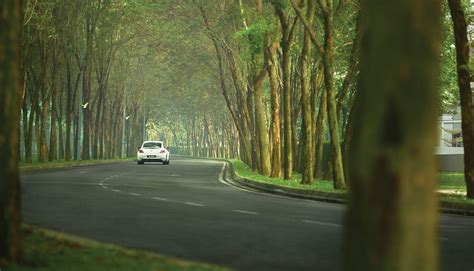 Jade hills is an exquisite gated residential area elegantly designed to accommodate today's contemporary lifestyle. GAMUDA PARKS BIODIVERSITY INITIATIVE
