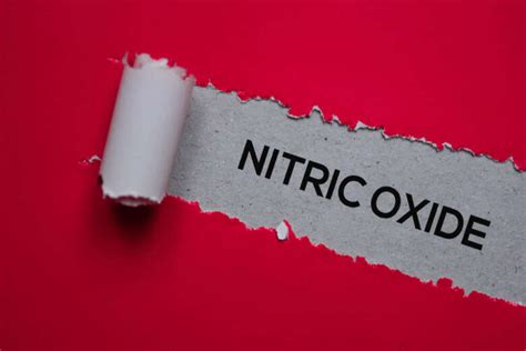 Top 10 Delicious Foods High In Nitric Oxide Icy Health