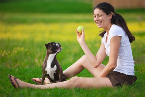 5 Secrets Of Happy Pets Sheknows