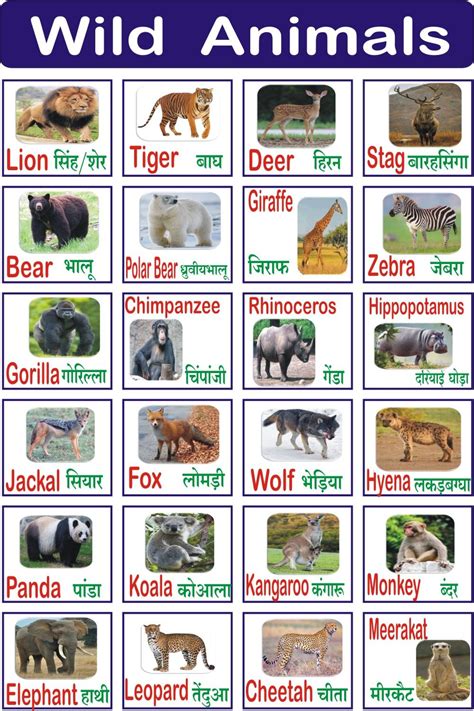 Wild Animals Names With Picture Ll Wild Animals For Kids To Learn