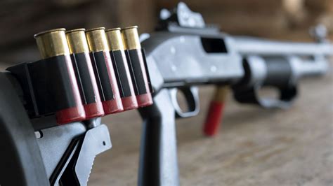 Eight Affordable Shotguns For Home Defense Guns Com