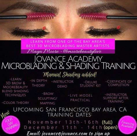 Microblading, eyebrow embroidery, permanent makeup, 6d tattoo, hairstroke, bay area, sacramento california, eastbay, vacaville, fairfield, solano it looks so real, it is often referred to as 3d or hairstroke tattoo. Pin on Microblading by Maya M