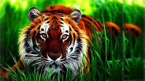 3d Tiger Wallpapers Hd Desktop Backgrounds