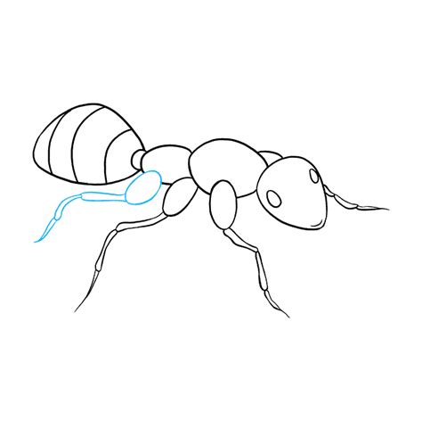 How To Draw An Ant Really Easy Drawing Tutoria