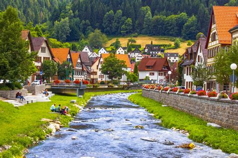 Black Forest What You Need To Know Before You Go Go Guides