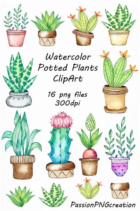 Download this free vector about watercolor cactus background, and discover more than 12 million professional graphic resources on freepik. Watercolor potted plants clipart, potted plants, cactus ...