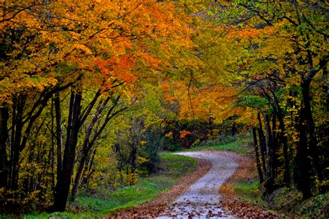 Autumn In Southern Indiana Paisagens