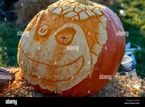 Chadds Ford Pa October 18 Person Carving Pumpkin At The Great