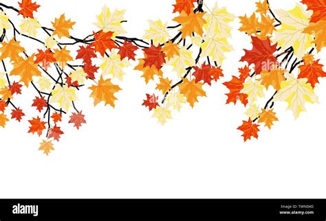 Autumn Maples Falling Leaves Background Vector Illustration Stock