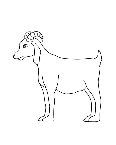 Goats coloring pages animal coloring pages for kids this is a fun collection of goats coloring pages. Free Printable Goat Coloring Pages For Kids | Animal ...