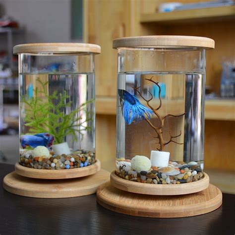 First, you have to choose the betta fish bowl that you would like to use. 1pcs Glass Betta Fish Tank Bamboo Base Mini Fish Tank ...