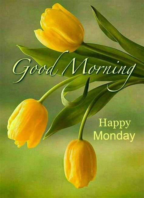 Good Morning Monday Flowers Images And Messages Malayhaidir