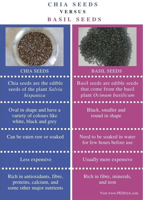 All You Need To Know About Chia Seeds And Basil Seeds Sunday