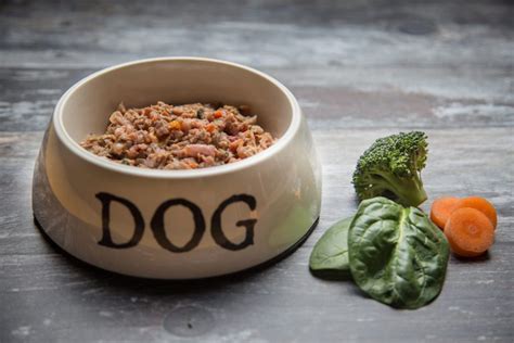 Natural Diet For Your Dog Raw Pet Foods