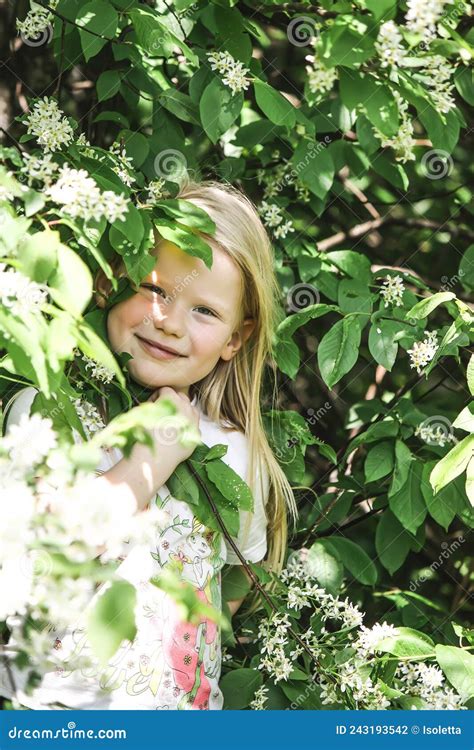 A Little Girl Walks In Spring Forest Blooming Bird Cherry Tree Stock
