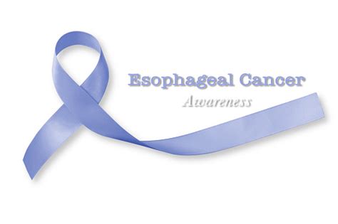 Esophageal Cancer Awareness Periwinkle Color Ribbon On Human Hand With