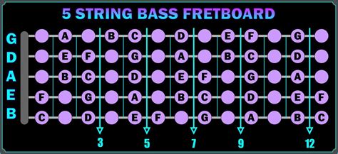String Bass Fretboard Chart Talkbass